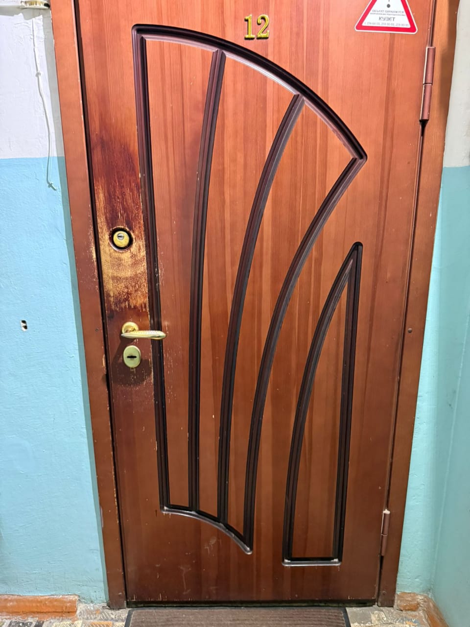 Фото двери до покраски