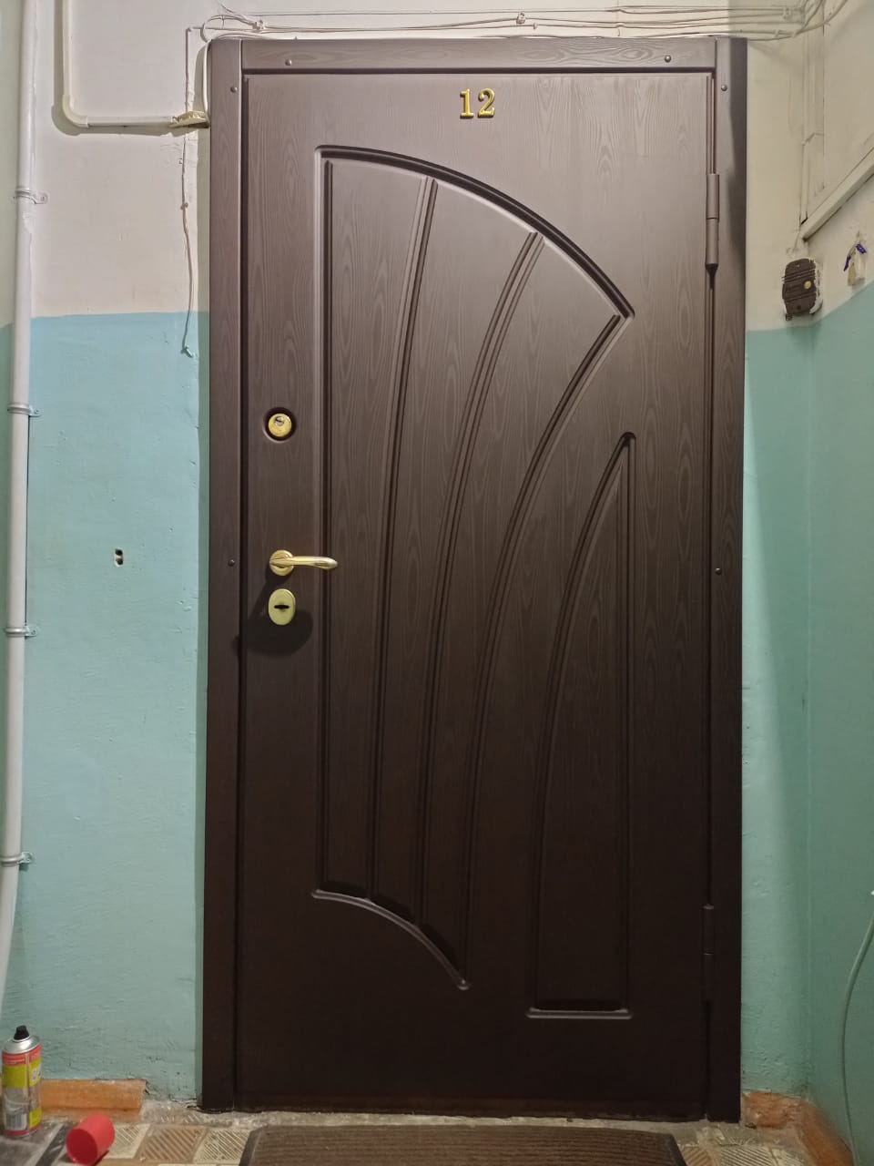 Фото двери после покраски